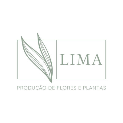 Lima — Produção de Flores e Plantas